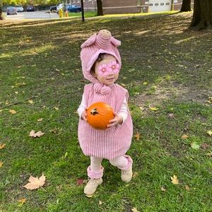 Halloween Toddler Pig Costume